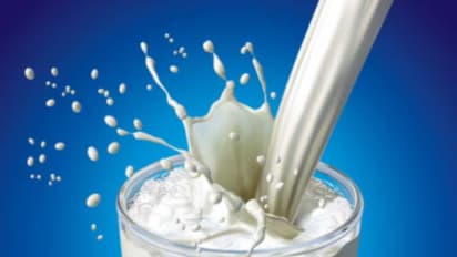 ನಂದಿನಿ ಹಾಲು ದರ ಬಹುತೇಕ ಹೆಚ್ಚಳ: ಬಾಲಚಂದ್ರ ಜಾರಕಿಹೊಳಿ