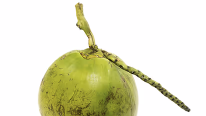 Now, pluck coconut using smartphone!