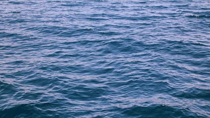 வேளாங்கண்ணி கடல் அலையில் சிக்கிய 3 மாணவர்கள்; கரை ஒதுங்கிய இரு உடல்கள்