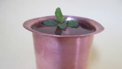 செம்பு பாத்திரத்தில் வைத்த துளசி நீரை குடித்தால் உங்களை எந்த நோய்களும் அண்டாது...