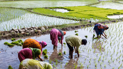 ದೇಶದ ರೈತರಿಗೆ ಗುಡ್ ನ್ಯೂಸ್