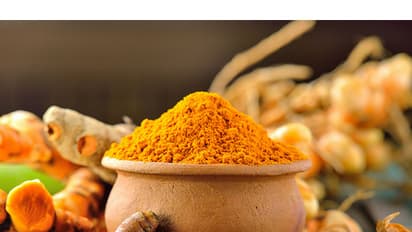 ಅರಿಶಿನ ಕೃಷಿಗೆ ಕೀಟ ಬಾಧೆಯೇ? ಹೀಗೆ ಮಾಡಿದ್ರೆ ಅರಿಶಿನ ಚೆನ್ನಾಗಿ ಬೆಳೆಯುತ್ತೆ!