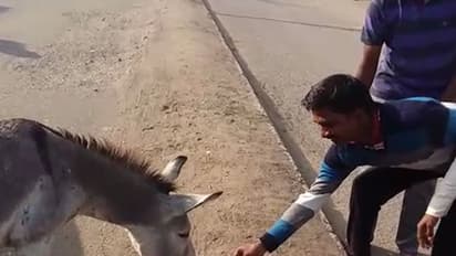 ಕತ್ತೆಗಳಿಗೆ 500ರ ನೋಟ್ ತಿನ್ನಿಸಿ ಆಕ್ರೋಶ