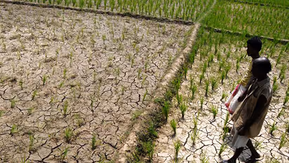 Kerala temperature to go up by 2-3 degree Celsius: Study