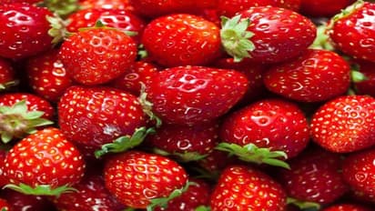 உங்களுக்குத் தெரியுமா? ஸ்ட்ராபெர்ரி சாப்பிட்டால் மாரடைப்பு வராமல் தடுக்கலாம்..