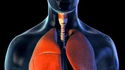 நச்சுப் பொருட்களில் இருந்து நுரையீரலை காப்பாற்ற இந்த ஜீஸ் உதவும்... தயாரிப்பது மிக எளிது...