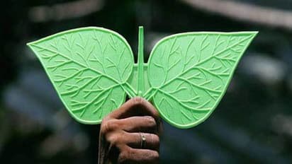 இரட்டை இலை சின்னத்தை முடக்கக் கோரிய வழக்கு... உயர்நீதிமன்றத்தில் நாளை விசாரணை!!