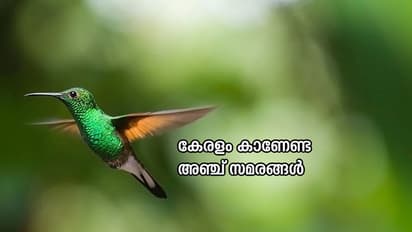 കേരളം കാണേണ്ട അഞ്ച് സമരങ്ങള്‍