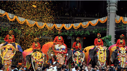 Here is all you need to know about the Dasara elephants
