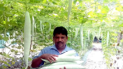 മണ്ണില് പൊന്നുവിളയിച്ച് സുനില്