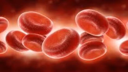 ரத்த சோகைக்கு தீர்வு...