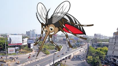 "தீபாவளிக்கு பின் டெங்கு வராது" - அதிகாரிகள்...! இது எப்படி சாத்தியம் தெரியுமா?