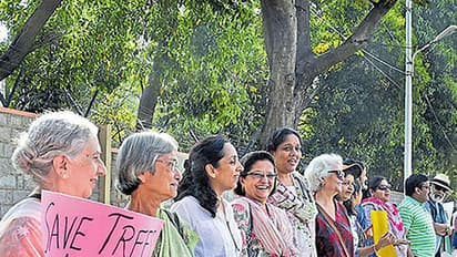 One year of steel flyover beda: Made a difference? Share your thoughts with #IDaredToSayBeda