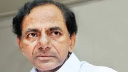 கர்பிணிகளுக்கு ரூ.15 ஆயிரம் நிதி, ஏழைகளுக்கு 84 லட்சம் ஆடுகள் ‘இன்ப அதிர்ச்சி’ அளித்த தெலங்கானா முதல்வர்