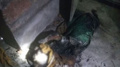 വീടിനുള്ളില് മരിച്ചുകിടന്ന സ്ത്രീയുടെ മൃതദേഹം തെരുവുനായ്ക്കള് കടിച്ചുകീറി