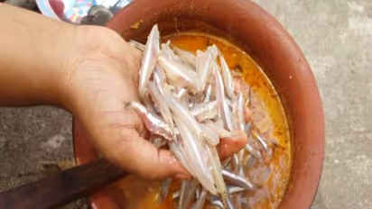 வாரத்திற்கு ஒரு முறை "நெத்திலி" சாப்பிட்டு பாருங்க...! அப்புறம் "இது" தேவையே படாது...!