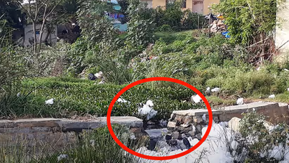 Ahead of United Bengaluru visit to Subramanyapura lake, who drained out the water?