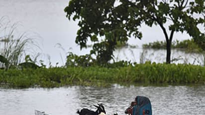 Maharashtra floods create havoc in Karnataka