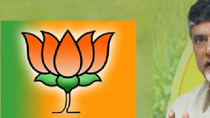 టిడిపిపై భాజపా తీవ్ర అసంతృప్తి