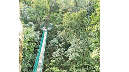 18 ರಂದು ದೇಶದ ಮೊದಲ ಕೆನೋಪಿ ವಾಕ್ ಲೋಕಾರ್ಪಣೆ
