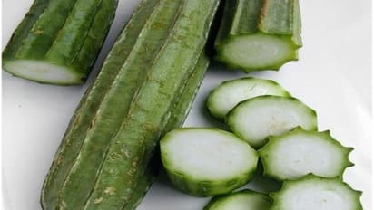 கண்பார்வை நன்றாய் தெரிய, நோய் எதிர்ப்புச் சக்தி கூட பீர்க்கன்காய் அதிகம் சாப்பிடவும்…