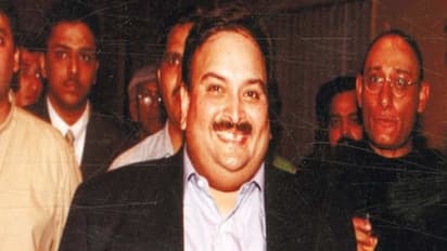 இந்தியாவுக்கெல்லாம் வரமுடியாது…. தெனாவெட்டா பதில் சொன்ன நிரவ் மோடியின் உறவினர்….