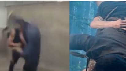 പുലിമുരുകന് സ്റ്റൈലില് പ്രണവ് മോഹന്ലാലിന്റെ ആക്ഷന്- വീഡിയോ