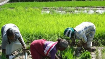 உயிராற்றல் விவசாயம் என்றால் என்ன? ஒரு விரிவான அலசல்...