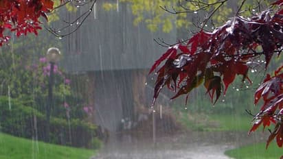 ഒരൊറ്റ മഴയോര്‍മ്മ മതി; പ്രവാസിക്ക്  സ്വന്തം നാടുതൊടാന്‍!