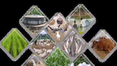 ஒருங்கிணைந்த பண்ணைய முறையில் எவற்றையெல்லாம் வளர்க்கலாம்? எவ்வளவு வளர்க்கலாம்?...