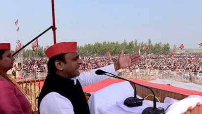 ಕತ್ತೆಗಳು ನಿಷ್ಠಾವಂತ ಪ್ರಾಣಿಗಳು; ಅವುಗಳಿಂದ ಅಖಿಲೇಶ್ ಕಲಿಯುವುದಿದೆ