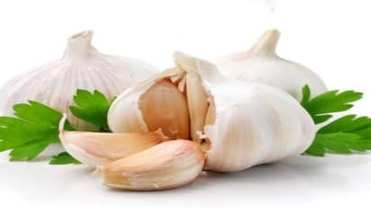 நீங்கள் நினைத்து பார்த்திராத அளவுக்கு பூண்டில் மருத்துவ குணங்ககள் இருக்கு…