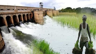 காவிரி மேலாண்மை வாரியம் அமைக்கப்படும் - மத்திய அமைச்சர் திட்டவட்டம்