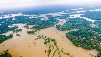 ಜೀವ ವೈವಿಧ್ಯಕ್ಕೆ ಕಾದಿದೆಯಾ ಗಂಡಾಂತರ : ಭಾರೀ ಆತಂಕ