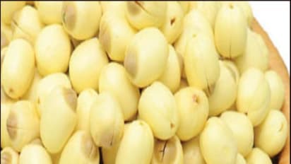 தாமரை விதைகளின் மருத்துவக் குணங்கள் நம்மை எக்கச்சக்கமாய் ஆச்சரியமூட்டும்...