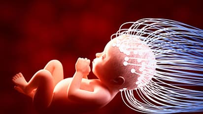 Creating your own babies without having sex could be a possibility