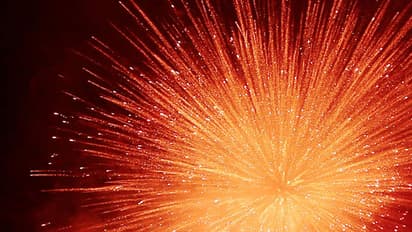 Thrissur Pooram fireworks display gets Centre's nod but with these conditions