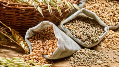 ಮಕ್ಕಳು ಮತ್ತು ಗರ್ಭಿಣಿ ಬಾಣಂತಿಯರಿಗೆ ಪೂರೈಕೆಯಾಗುವ ಆಹಾರ ಮಾರಿದ ಅಧಿಕಾರಿಗಳು!