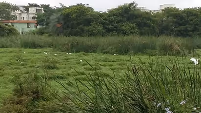 BBMP asks encroachers around Subramanyapura lake to vacate within 48 hours