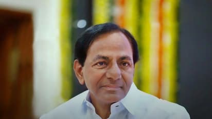 ‘ఐఏఎస్ లు గొర్రెలనే లెక్కపెట్టలేరు’