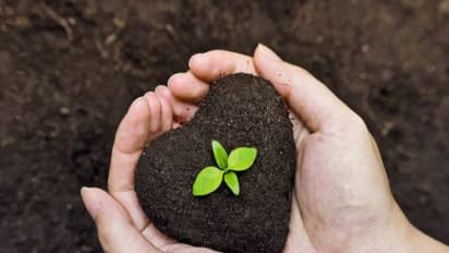 இயற்கை வேளாண்மையில் பூச்சிவிரட்டி பெரும் பங்கு வகிக்கிறது. எப்படி?