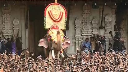 പൂരച്ചൂടില് തൃശൂര്