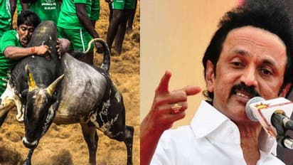 "ஜல்லிக்கட்டில் பங்கேற்பேன்" - அலங்காநல்லூருக்கு செல்கிறார் ஸ்டாலின்