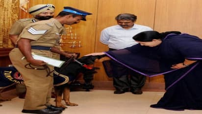 பூச்சி என பெயர் வைத்து வளர்த்த தெருநாய் - விபத்தில் உயிரிழந்தபோது கதறி அழுத ஜெயலலிதா