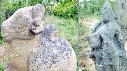 கி.பி. 13–ஆம் நூற்றாண்டைச் சேர்ந்த சிவன் கோவில் திண்டுக்கல்லில் கண்டுபிடிப்பு; முருகன், நந்தி, பைரவர் சிலைகளும் இருந்தன...