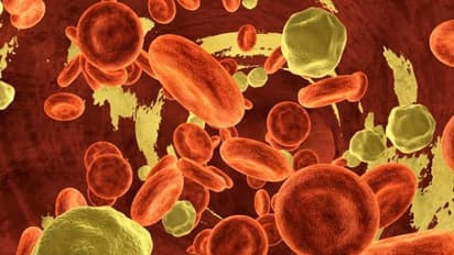 இந்த மூன்றுப் பொருட்களை வைத்து இரத்தத்திலுள்ள கொழுப்பை முற்றிலுமாக நீக்கலாம்…