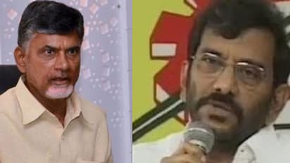 పార్టీపై చంద్రబాబు దృష్టి పెడితే జగన్ ఉండేవారు కాదు: సోమిరెడ్డి సంచలనం