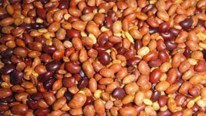 கொள்ளு சாப்பிட்டால் உங்களுக்கு குதிரை பலம் கிடைக்கும்…