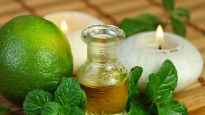 சிலவகை எண்ணெய்களும், அவற்றால் நமக்கு கிடைக்கும் அதிஅற்புத நன்மைகளும்…