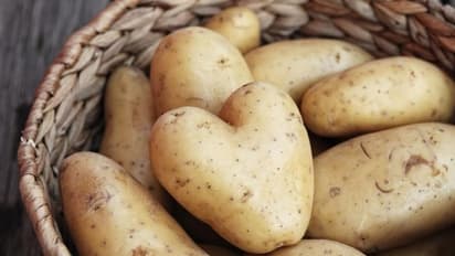 உருளைக்கிழங்கை இந்த முறையில்தான் சாப்பிடணும்; அப்போதான் பிரச்சனை வராது...